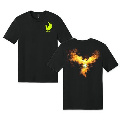 District T-Shirt DT184 - Style #3