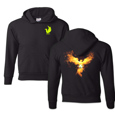 Youth Ecosmart® Hooded Sweatshirt P473 - Style #3