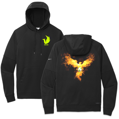 Nike Hoodie NKFD9735 - Style #3